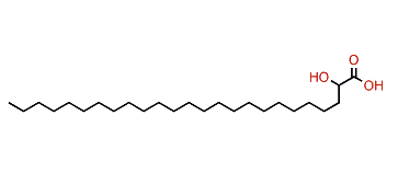 2-Hydroxypentacosanoic acid